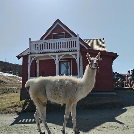 Sommerstue Hessdalen Esterno foto